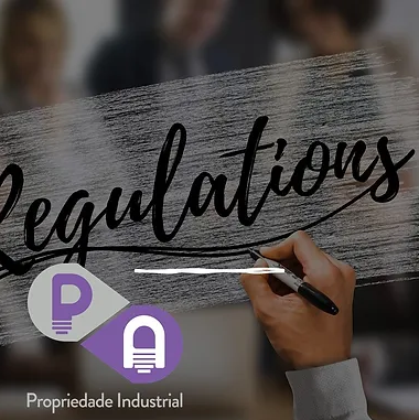 Vulnerabilidades do sistema patentário brasileiro e o § único do Art. 40 da LPI